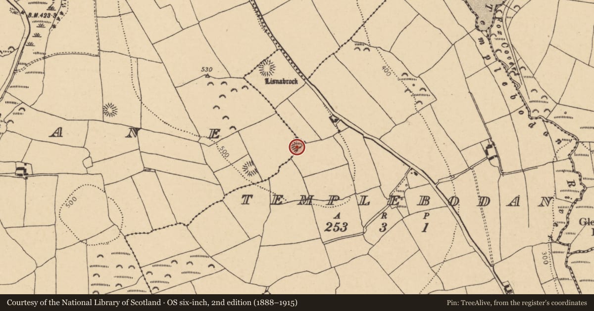 Ordnance Survey six-inch map, 2nd edition (1888–1915) covering the location of Ringfort - rath, Rathcobane, County Cork, with a pin at the register's coordinates