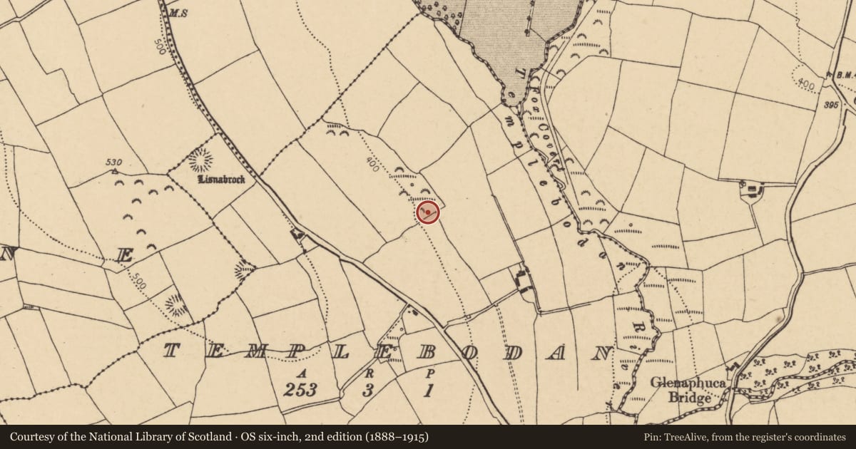 Ordnance Survey six-inch map, 2nd edition (1888–1915) covering the location of Church, Templebodan, County Cork, with a pin at the register's coordinates