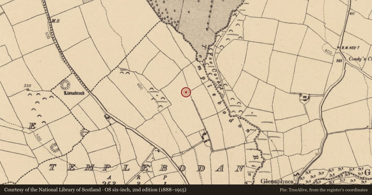 Ordnance Survey six-inch map, 2nd edition (1888–1915) covering the location of Fulacht fia, Templebodan, County Cork, with a pin at the register's coordinates
