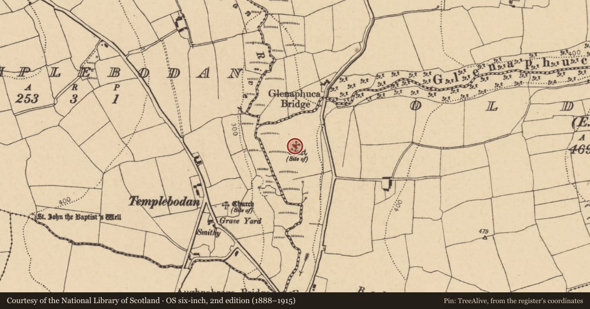 Ordnance Survey six-inch map, 2nd edition (1888–1915) covering the location of Castle - unclassified, Oldcourt (Barrymore By., Templebodan Par.), County Cork, with a pin at the register's coordinates