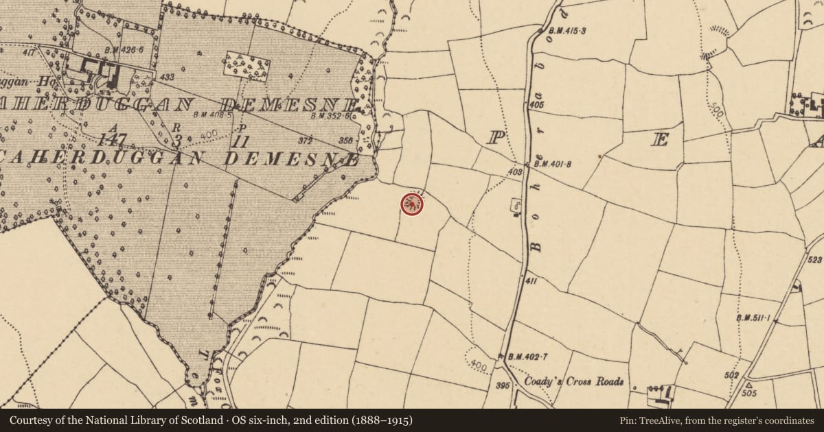 Ordnance Survey six-inch map, 2nd edition (1888–1915) covering the location of Ringfort - rath, Peafield, County Cork, with a pin at the register's coordinates