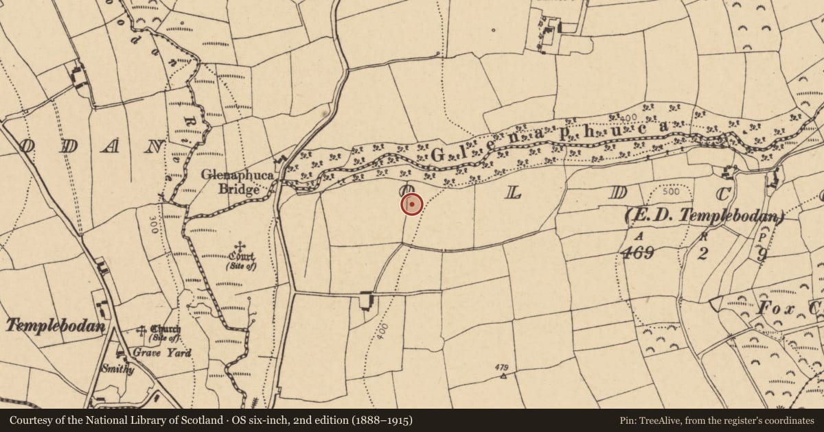 Ordnance Survey six-inch map, 2nd edition (1888–1915) covering the location of Enclosure, Oldcourt (Barrymore By., Templebodan Par.), County Cork, with a pin at the register's coordinates