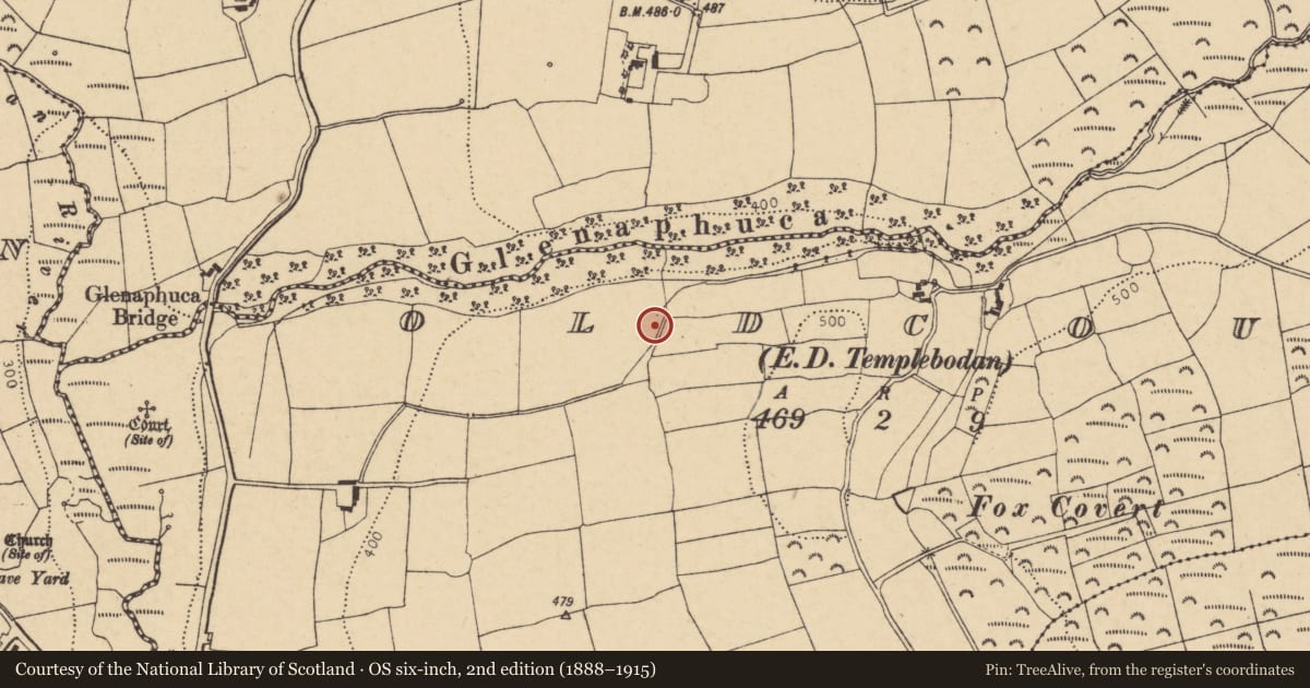 Ordnance Survey six-inch map, 2nd edition (1888–1915) covering the location of Enclosure, Oldcourt (Barrymore By., Templebodan Par.), County Cork, with a pin at the register's coordinates