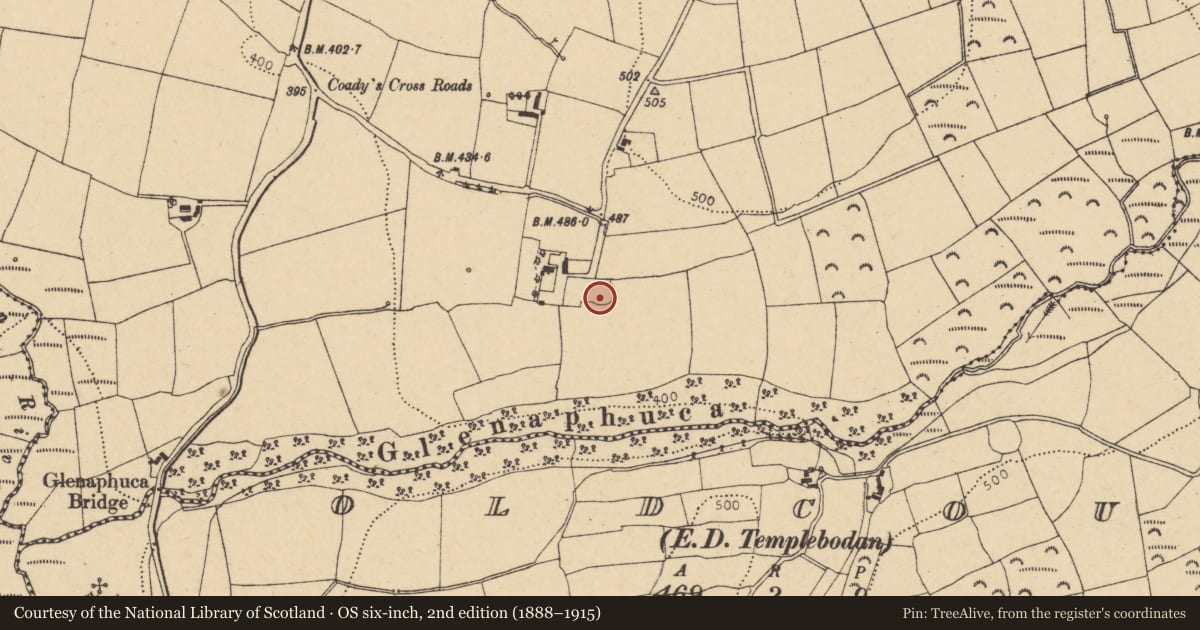 Ordnance Survey six-inch map, 2nd edition (1888–1915) covering the location of Ringfort - rath, Peafield, County Cork, with a pin at the register's coordinates