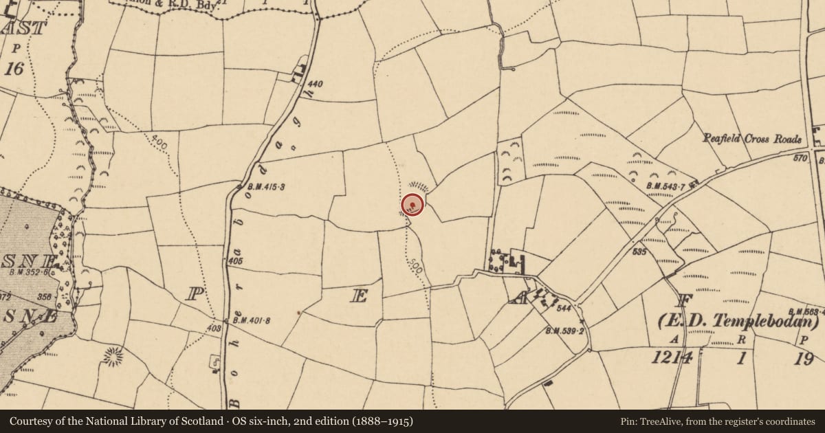 Ordnance Survey six-inch map, 2nd edition (1888–1915) covering the location of Ringfort - rath, Peafield, County Cork, with a pin at the register's coordinates