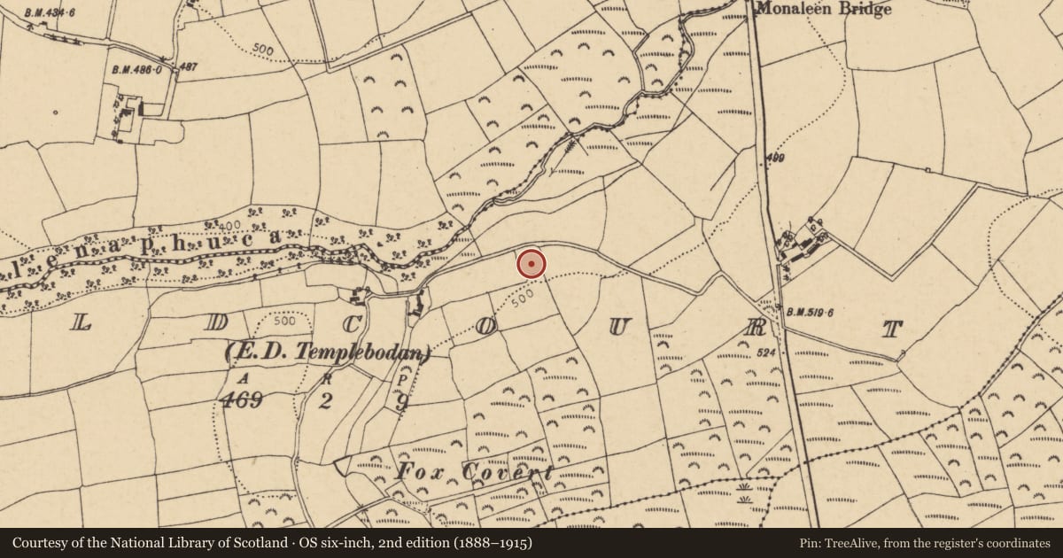 Ordnance Survey six-inch map, 2nd edition (1888–1915) covering the location of Ringfort - rath, Oldcourt (Barrymore By., Templebodan Par.), County Cork, with a pin at the register's coordinates