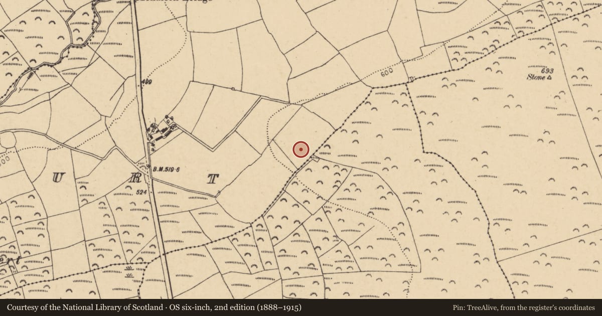 Ordnance Survey six-inch map, 2nd edition (1888–1915) covering the location of Burial ground, Oldcourt (Barrymore By., Templebodan Par.), County Cork, with a pin at the register's coordinates