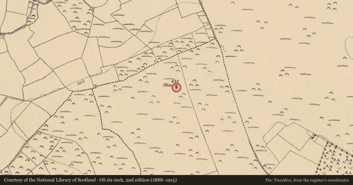 Ordnance Survey six-inch map, 2nd edition (1888–1915) covering the location of Standing stone, Walshtown More (West), County Cork, with a pin at the register's coordinates