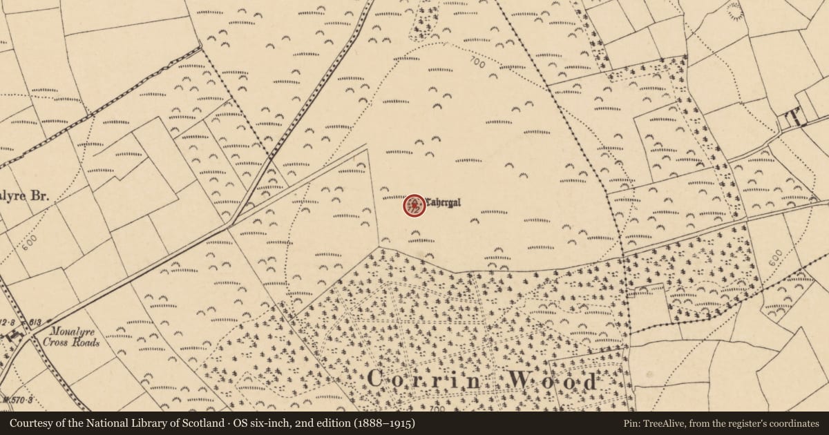 Ordnance Survey six-inch map, 2nd edition (1888–1915) covering the location of Cist, Garrylaurence, County Cork, with a pin at the register's coordinates
