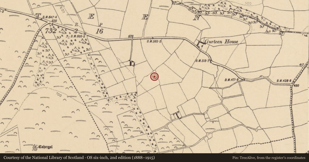 Ordnance Survey six-inch map, 2nd edition (1888–1915) covering the location of Ringfort - rath, Gurteen, County Cork, with a pin at the register's coordinates
