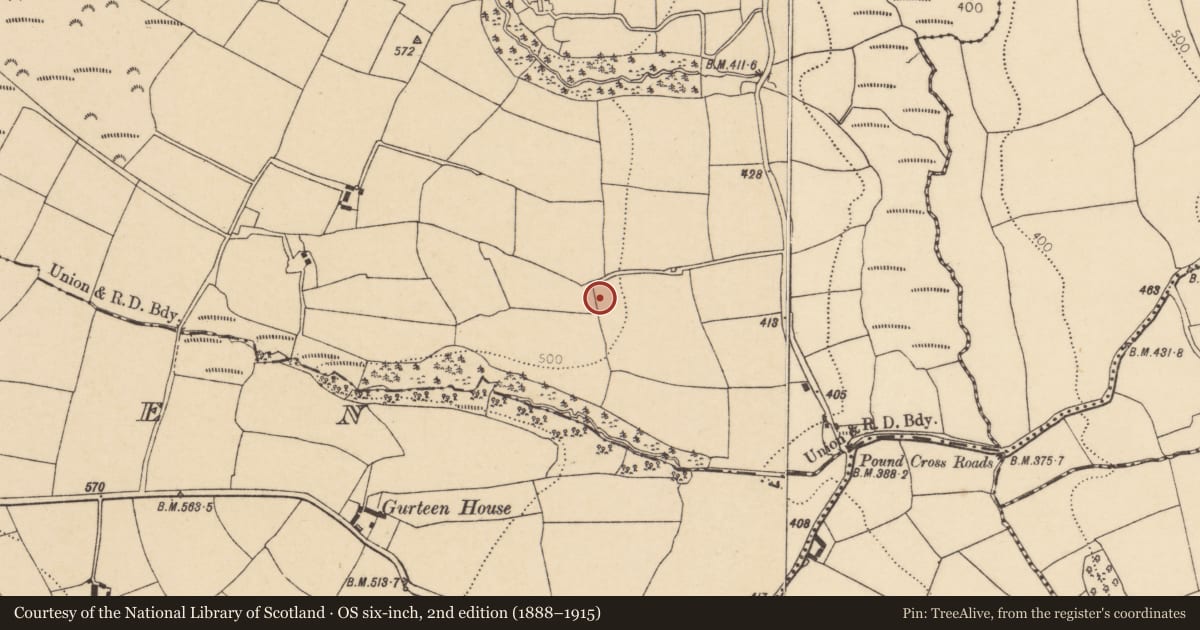 Ordnance Survey six-inch map, 2nd edition (1888–1915) covering the location of Ringfort - rath, Garryduff, County Cork, with a pin at the register's coordinates