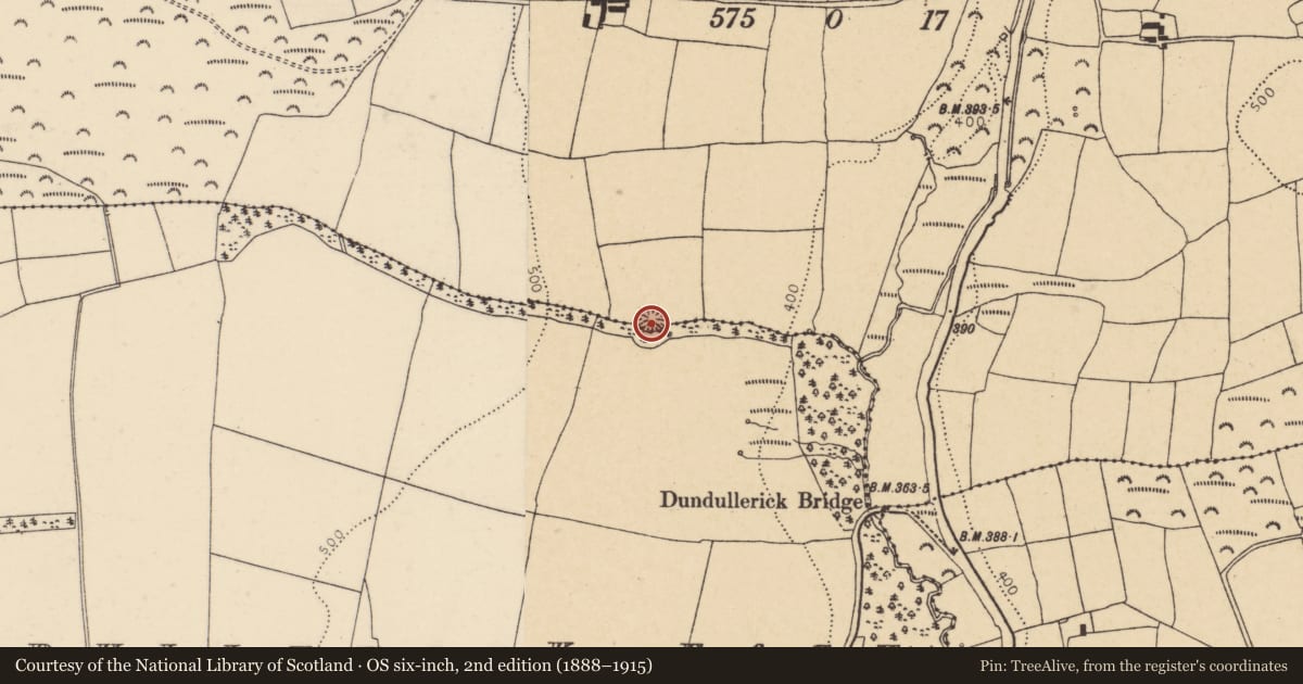 Ordnance Survey six-inch map, 2nd edition (1888–1915) covering the location of Ringfort - rath, Rathcobane, County Cork, with a pin at the register's coordinates