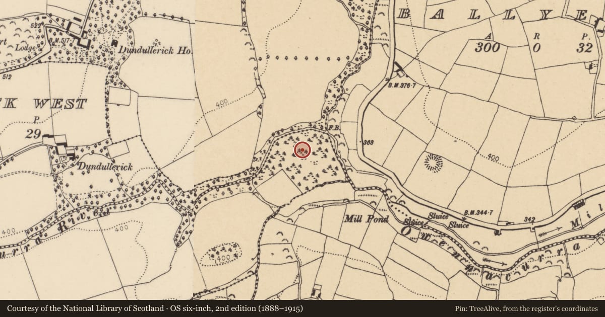 Ordnance Survey six-inch map, 2nd edition (1888–1915) covering the location of Enclosure, Ballysallagh, County Cork, with a pin at the register's coordinates