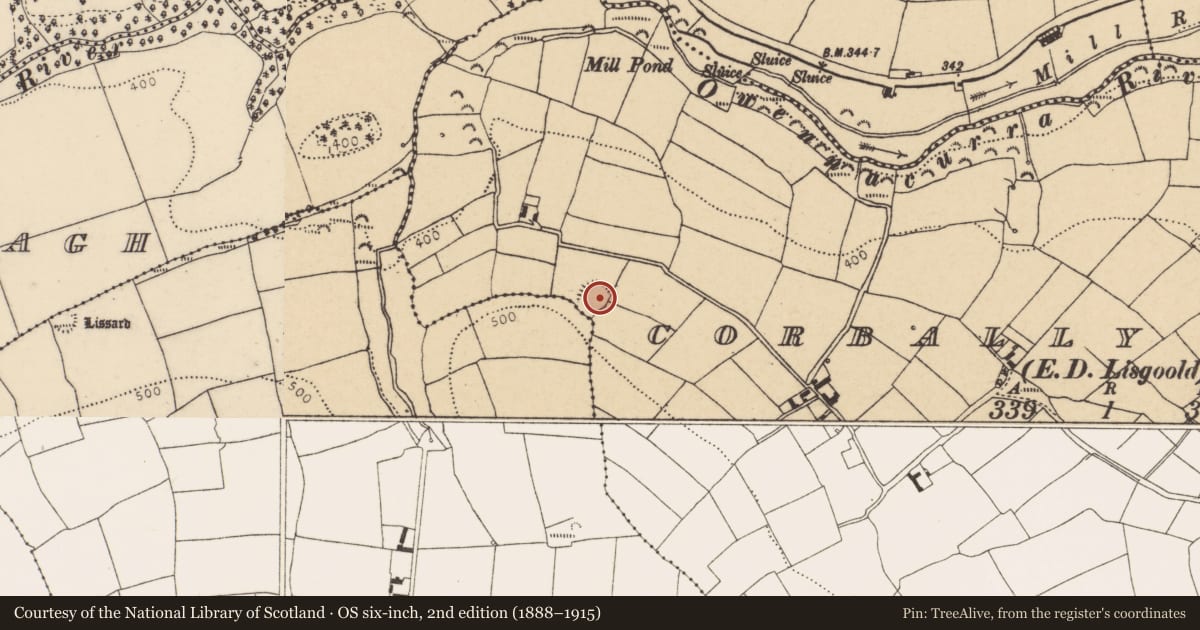 Ordnance Survey six-inch map, 2nd edition (1888–1915) covering the location of Ringfort - rath, Corbally North (Barrymore By., Lisgoold Par.), County Cork, with a pin at the register's coordinates