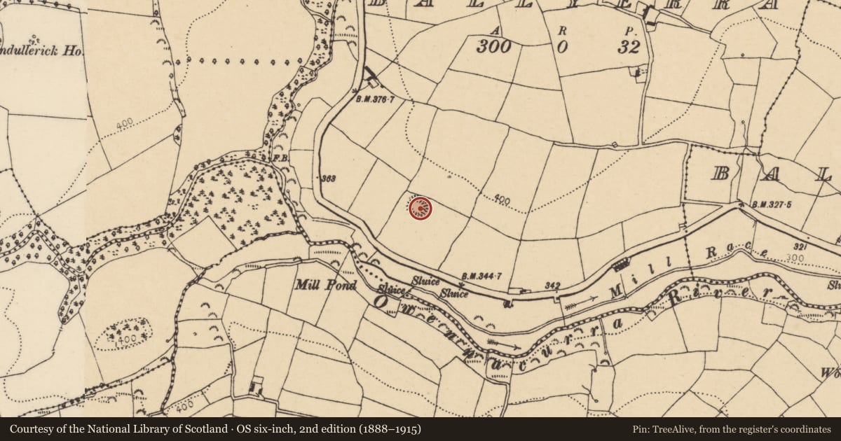 Ordnance Survey six-inch map, 2nd edition (1888–1915) covering the location of Ringfort - rath, Ballyerra, County Cork, with a pin at the register's coordinates