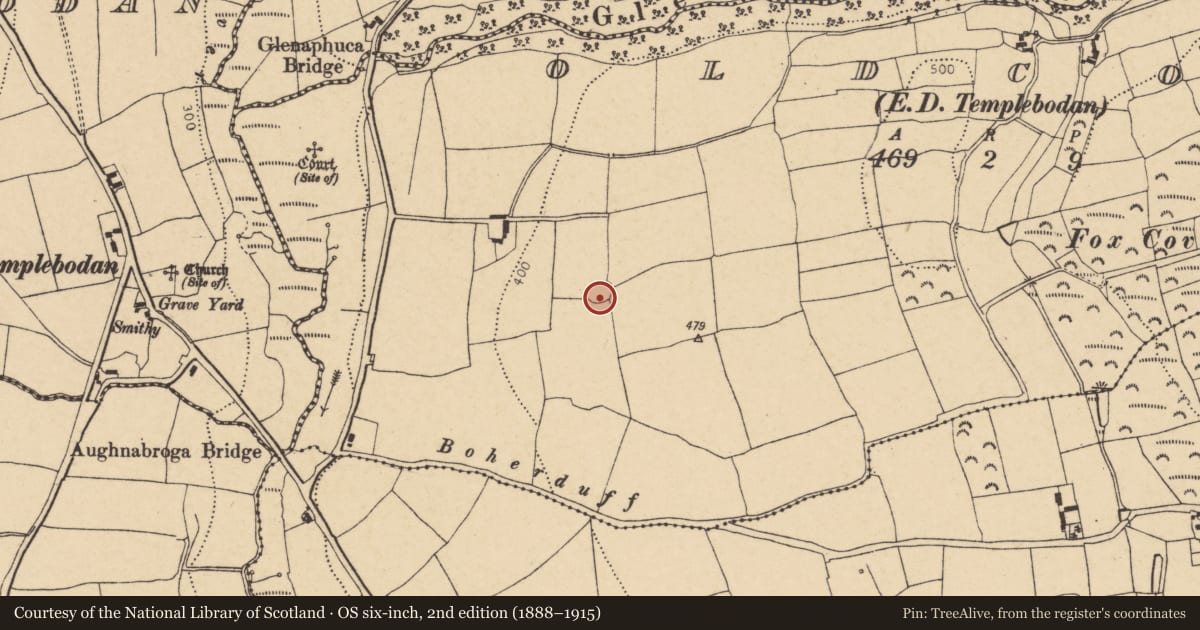 Ordnance Survey six-inch map, 2nd edition (1888–1915) covering the location of Enclosure, Oldcourt (Barrymore By., Templebodan Par.), County Cork, with a pin at the register's coordinates