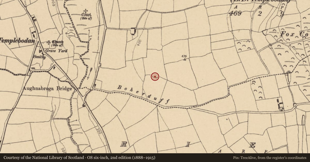 Ordnance Survey six-inch map, 2nd edition (1888–1915) covering the location of Enclosure, Oldcourt (Barrymore By., Templebodan Par.), County Cork, with a pin at the register's coordinates