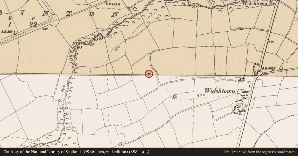 Ordnance Survey six-inch map, 2nd edition (1888–1915) covering the location of Ringfort - rath, Walshtown Beg, County Cork, with a pin at the register's coordinates