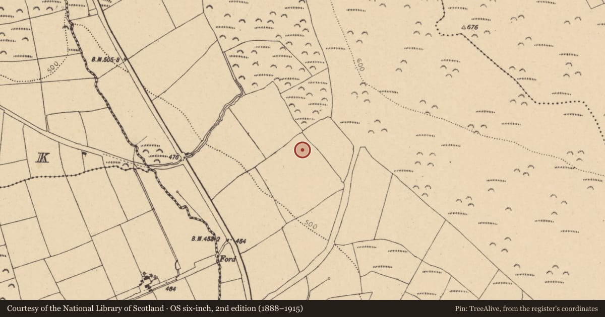 Ordnance Survey six-inch map, 2nd edition (1888–1915) covering the location of Fulacht fia, Walshtown Beg, County Cork, with a pin at the register's coordinates