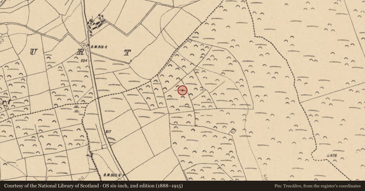 Ordnance Survey six-inch map, 2nd edition (1888–1915) covering the location of Enclosure, Walshtown Beg, County Cork, with a pin at the register's coordinates