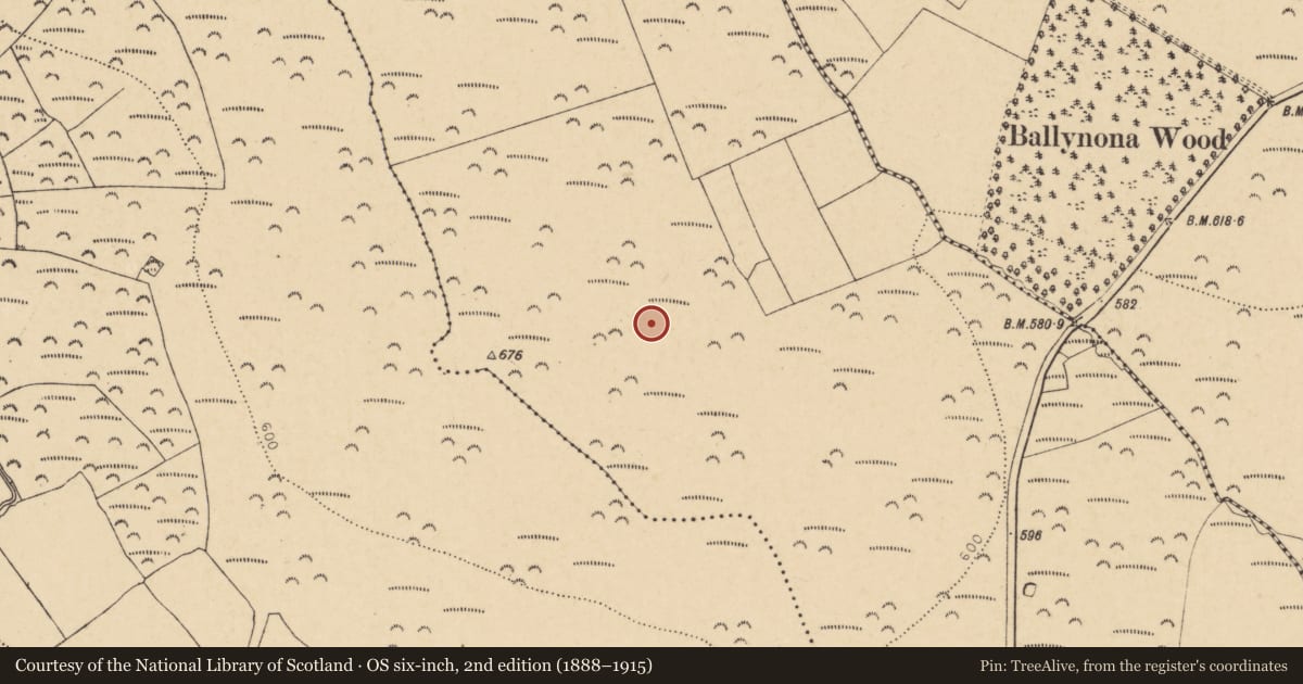 Ordnance Survey six-inch map, 2nd edition (1888–1915) covering the location of Standing stone, Walshtown More (West), County Cork, with a pin at the register's coordinates