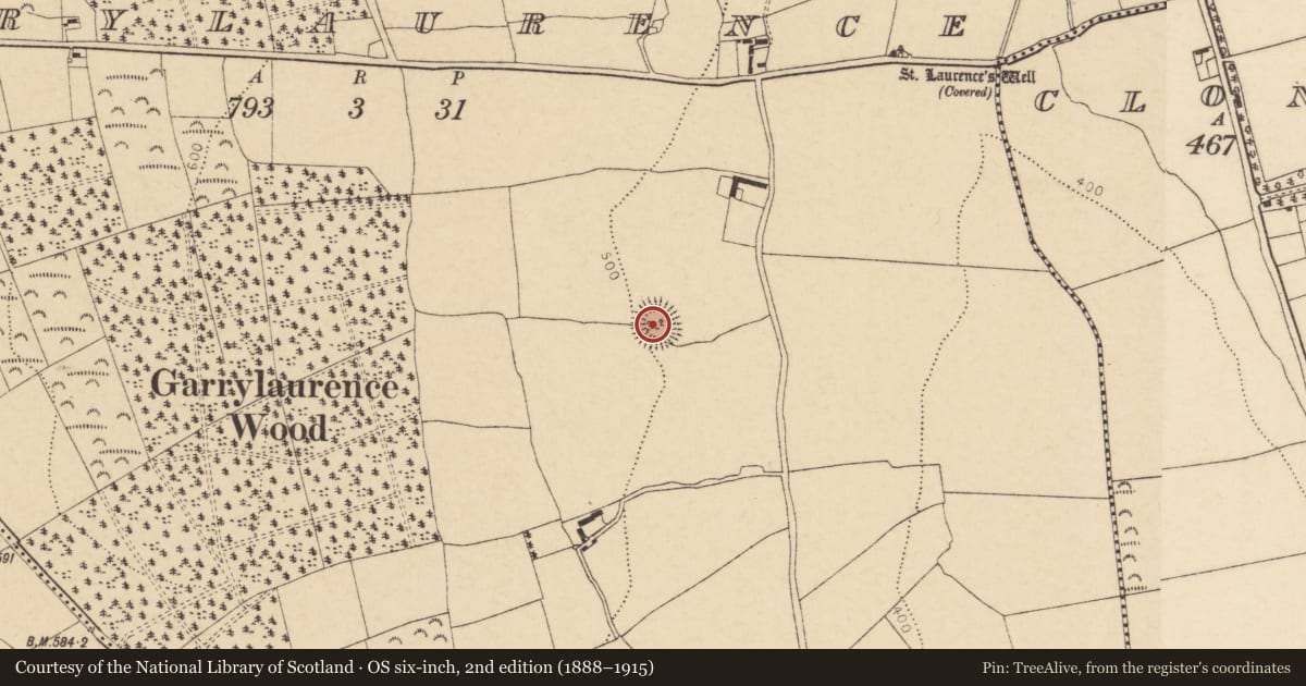 Ordnance Survey six-inch map, 2nd edition (1888–1915) covering the location of Ringfort - rath, Garrylaurence, County Cork, with a pin at the register's coordinates