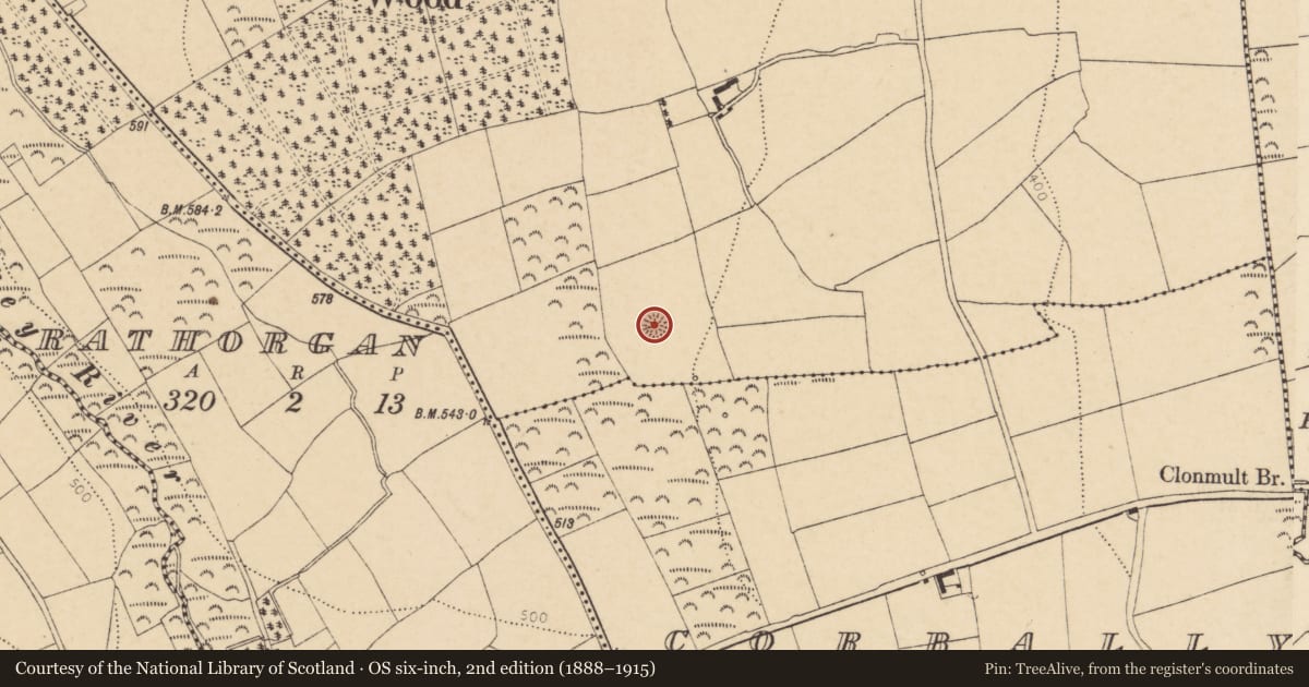 Ordnance Survey six-inch map, 2nd edition (1888–1915) covering the location of Ringfort - rath, Garrylaurence, County Cork, with a pin at the register's coordinates