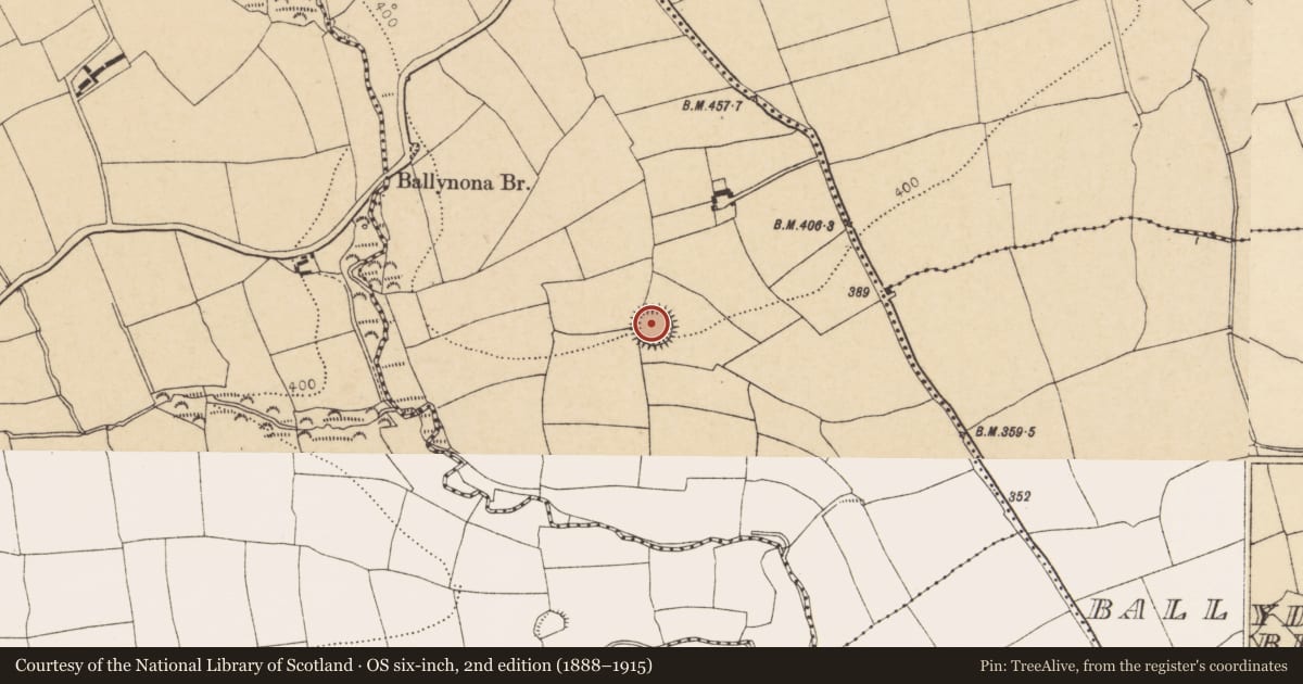 Ordnance Survey six-inch map, 2nd edition (1888–1915) covering the location of Ringfort - rath, Rathorgan, County Cork, with a pin at the register's coordinates