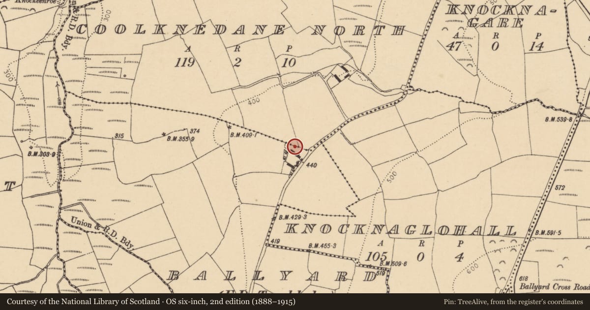 Ordnance Survey six-inch map, 2nd edition (1888–1915) covering the location of House - vernacular house, Ballyard (Barrymore By., Britway Par.), County Cork, with a pin at the register's coordinates