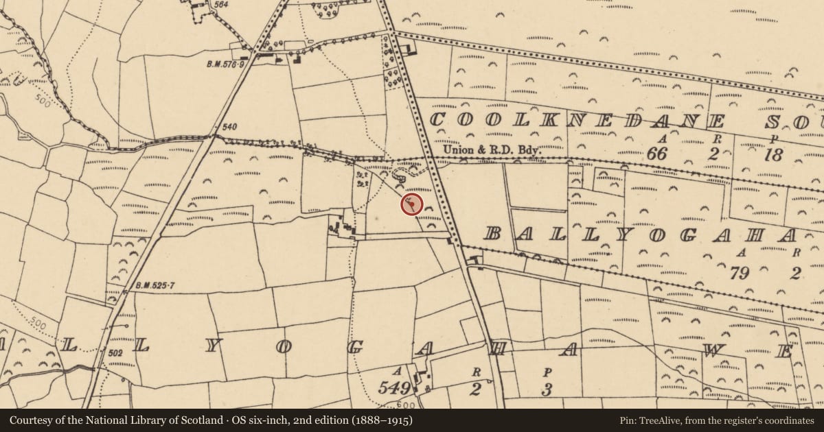 Ordnance Survey six-inch map, 2nd edition (1888–1915) covering the location of Kiln - lime, Ballyogaha West, County Cork, with a pin at the register's coordinates