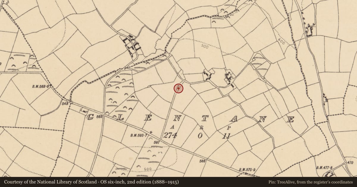 Ordnance Survey six-inch map, 2nd edition (1888–1915) covering the location of Kiln - lime, Glentane, County Cork, with a pin at the register's coordinates