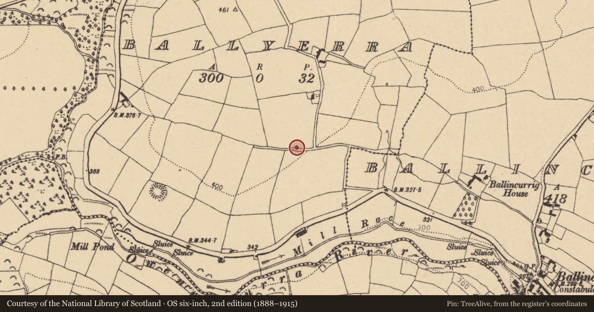 Ordnance Survey six-inch map, 2nd edition (1888–1915) covering the location of Kiln - lime, Ballyerra, County Cork, with a pin at the register's coordinates