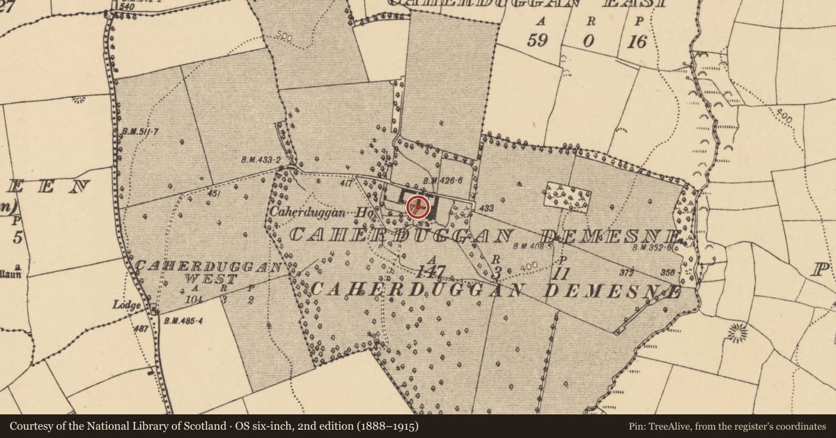 Ordnance Survey six-inch map, 2nd edition (1888–1915) covering the location of Country house, Caherduggan Demesne, County Cork, with a pin at the register's coordinates