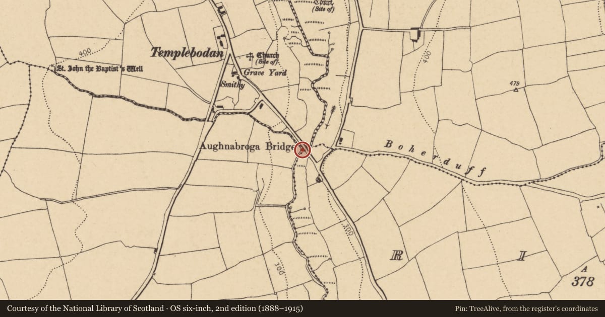 Ordnance Survey six-inch map, 2nd edition (1888–1915) covering the location of Bridge, County Cork, with a pin at the register's coordinates
