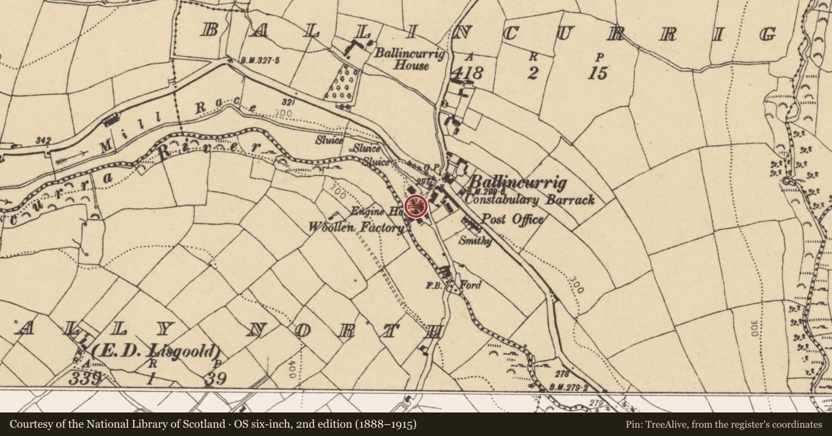 Ordnance Survey six-inch map, 2nd edition (1888–1915) covering the location of Mill - woollen, Ballincurrig, County Cork, with a pin at the register's coordinates