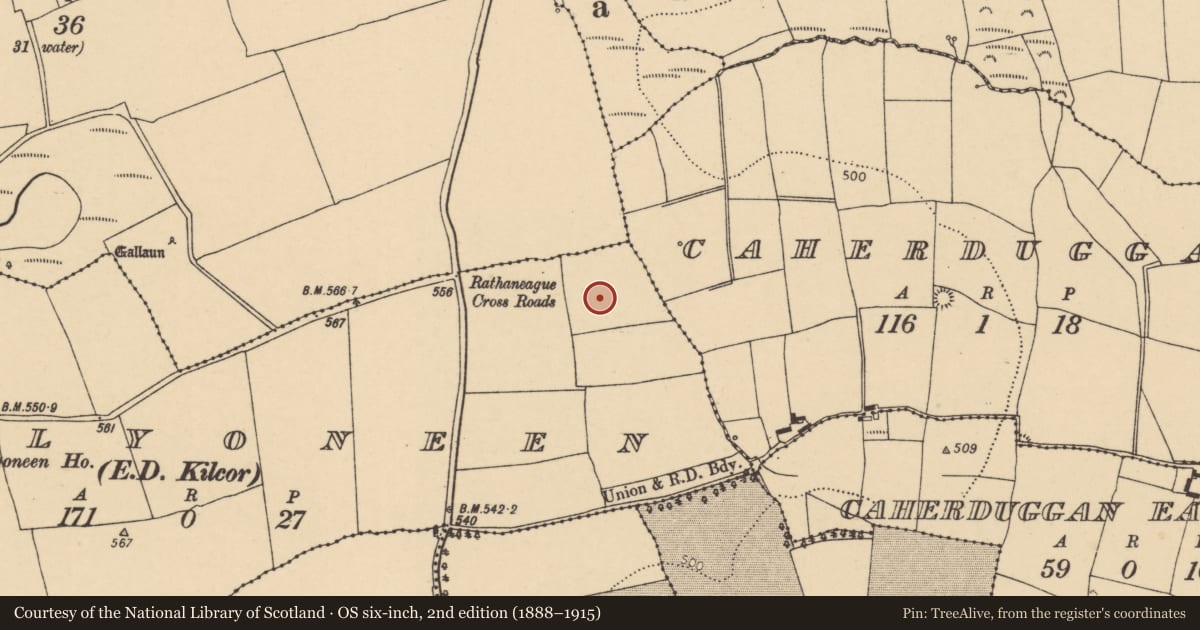 Ordnance Survey six-inch map, 2nd edition (1888–1915) covering the location of Earthwork, Ballyoneen (Barrymore By., Gortroe Par.), County Cork, with a pin at the register's coordinates
