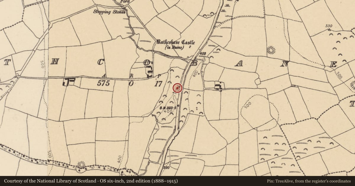 Ordnance Survey six-inch map, 2nd edition (1888–1915) covering the location of Kiln - lime, Rathcobane, County Cork, with a pin at the register's coordinates