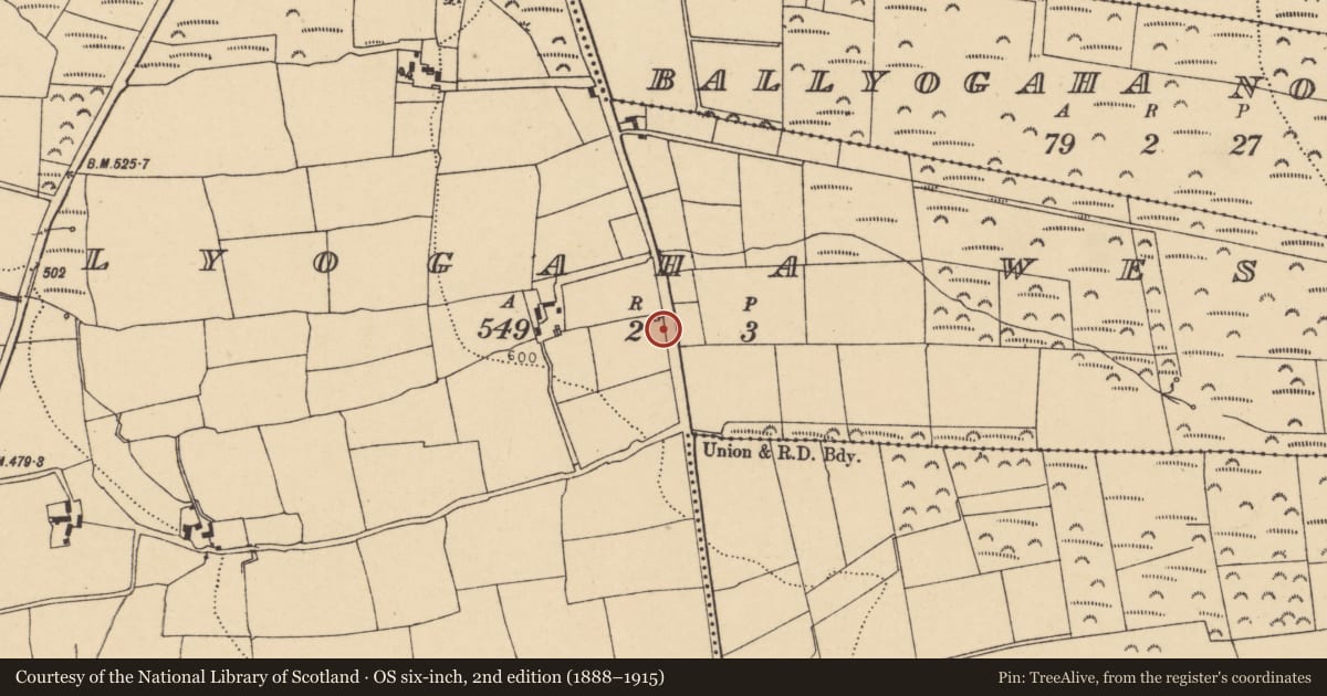 Ordnance Survey six-inch map, 2nd edition (1888–1915) covering the location of Kiln - lime, Ballyogaha West, County Cork, with a pin at the register's coordinates