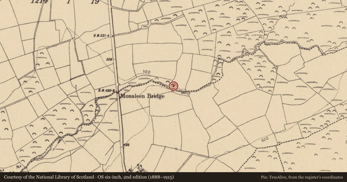 Ordnance Survey six-inch map, 2nd edition (1888–1915) covering the location of Standing stone, Peafield, County Cork, with a pin at the register's coordinates