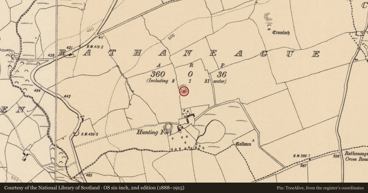 Ordnance Survey six-inch map, 2nd edition (1888–1915) covering the location of Souterrain, Rathaneague, County Cork, with a pin at the register's coordinates