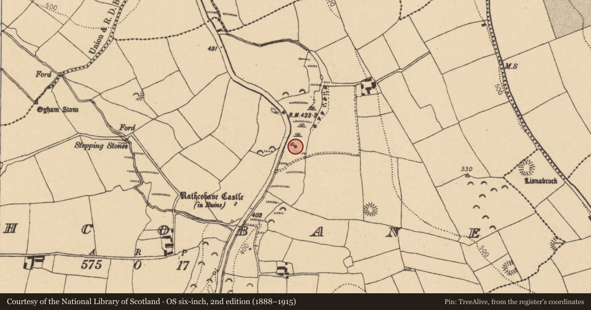 Ordnance Survey six-inch map, 2nd edition (1888–1915) covering the location of Fulacht fia, Rathcobane, County Cork, with a pin at the register's coordinates