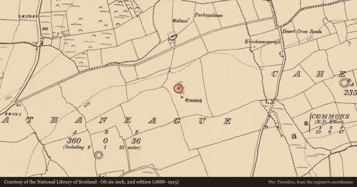 Ordnance Survey six-inch map, 2nd edition (1888–1915) covering the location of Fulacht fia, Rathaneague, County Cork, with a pin at the register's coordinates