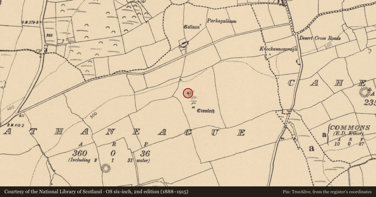 Ordnance Survey six-inch map, 2nd edition (1888–1915) covering the location of Fulacht fia, Rathaneague, County Cork, with a pin at the register's coordinates