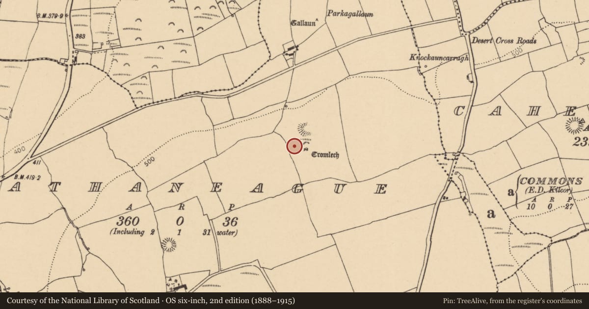 Ordnance Survey six-inch map, 2nd edition (1888–1915) covering the location of Fulacht fia, Rathaneague, County Cork, with a pin at the register's coordinates