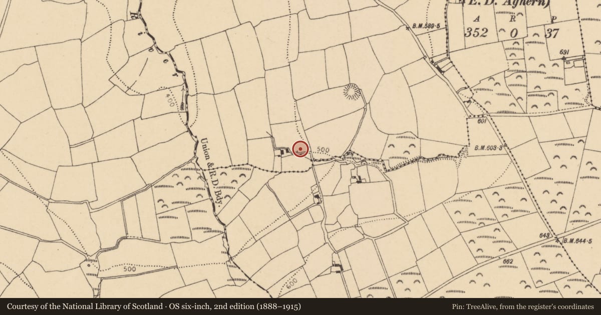 Ordnance Survey six-inch map, 2nd edition (1888–1915) covering the location of Ringfort - rath, Glentrasna, County Cork, with a pin at the register's coordinates