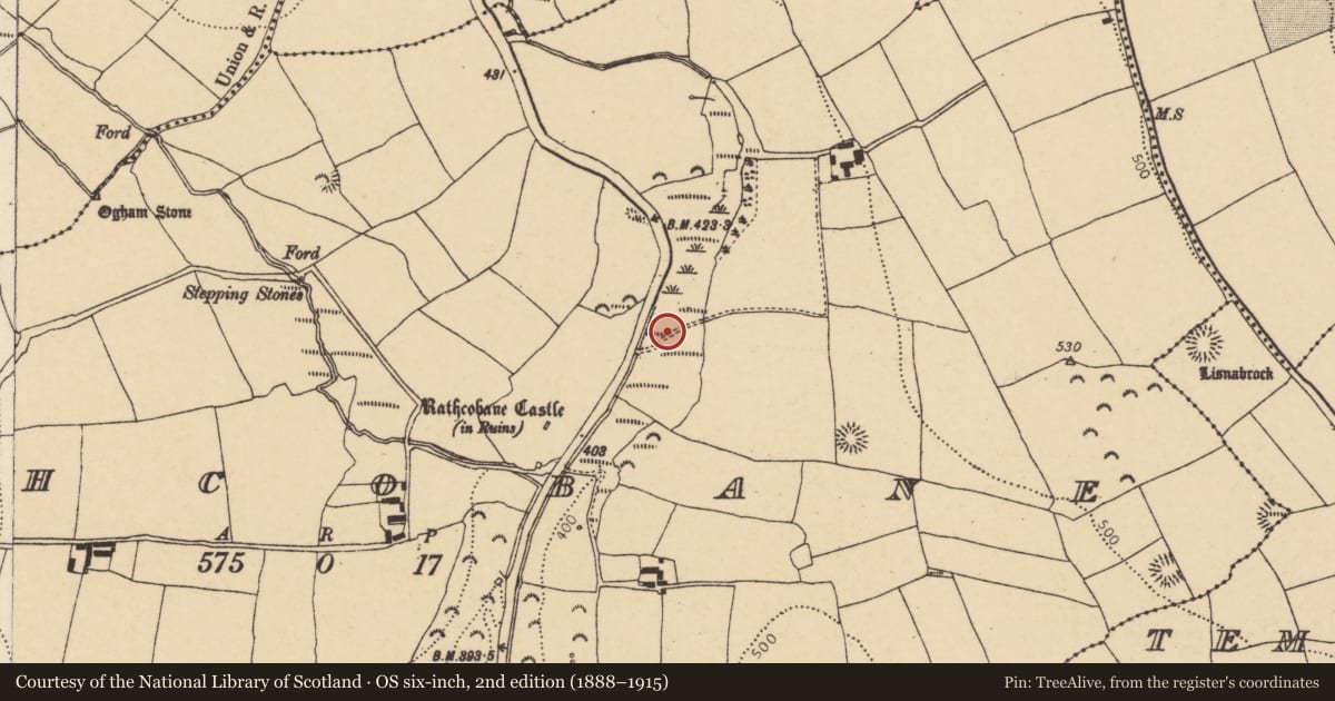 Ordnance Survey six-inch map, 2nd edition (1888–1915) covering the location of Field boundary, Rathcobane, County Cork, with a pin at the register's coordinates