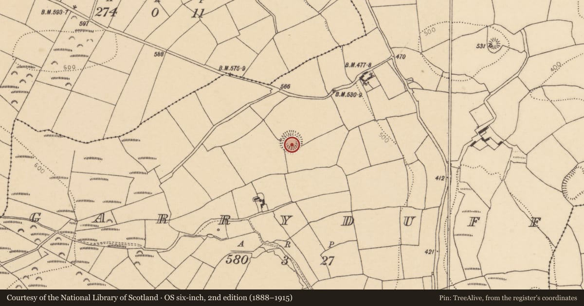 Ordnance Survey six-inch map, 2nd edition (1888–1915) covering the location of Souterrain, Garryduff, County Cork, with a pin at the register's coordinates