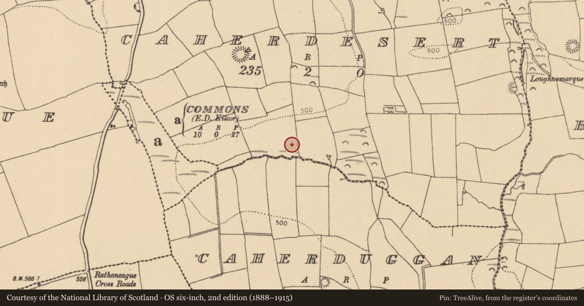 Ordnance Survey six-inch map, 2nd edition (1888–1915) covering the location of Souterrain, Caherdesert, County Cork, with a pin at the register's coordinates