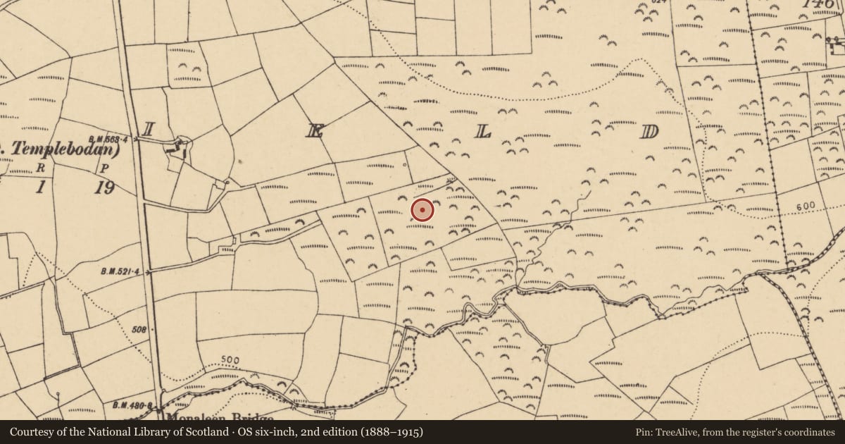 Ordnance Survey six-inch map, 2nd edition (1888–1915) covering the location of Fulacht fia, Peafield, County Cork, with a pin at the register's coordinates