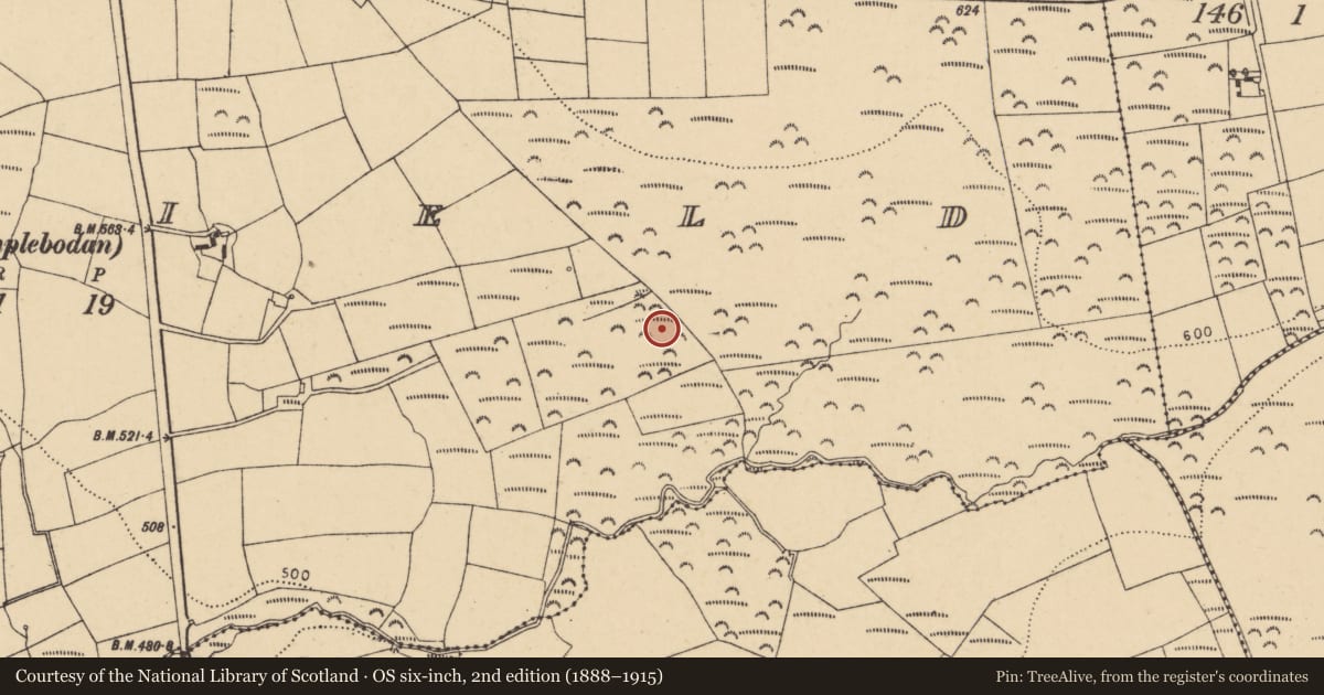 Ordnance Survey six-inch map, 2nd edition (1888–1915) covering the location of Fulacht fia, Peafield, County Cork, with a pin at the register's coordinates